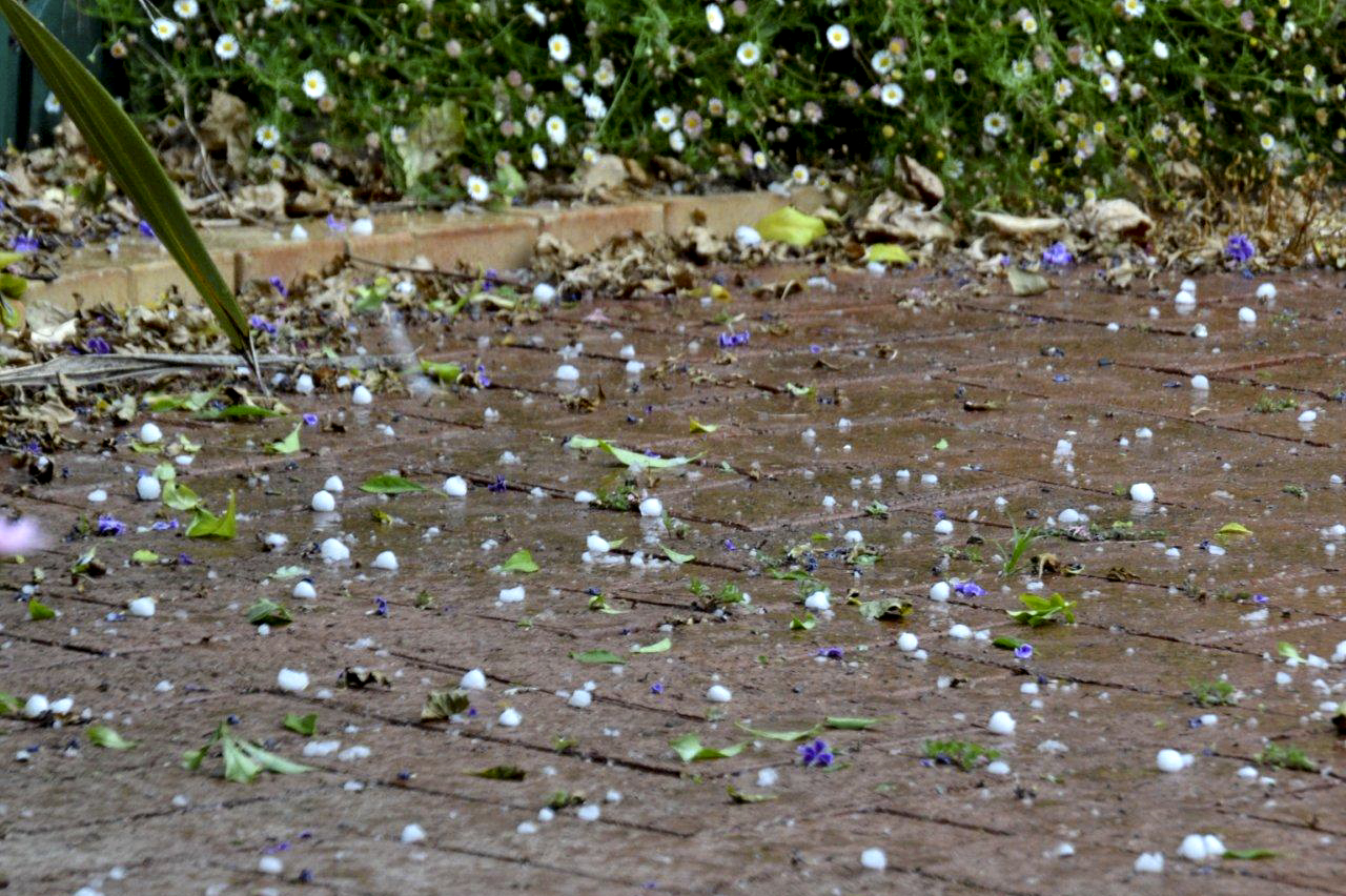 Hail Stones at Home