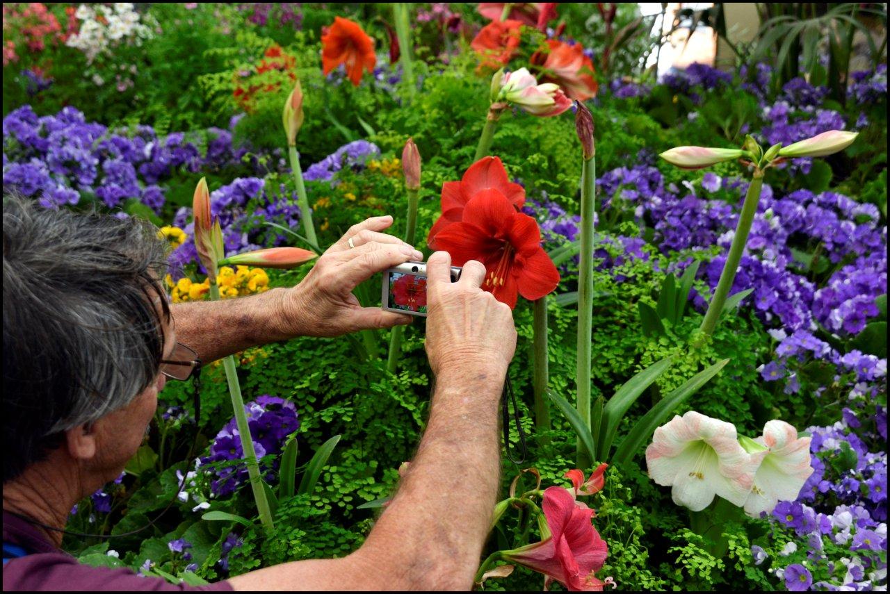 David Photographing Flowers in the Conservatory