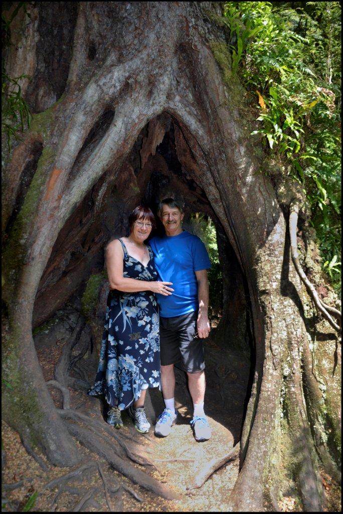 David & May in a Tree