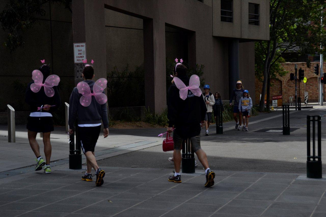 Pink Fairy Wings