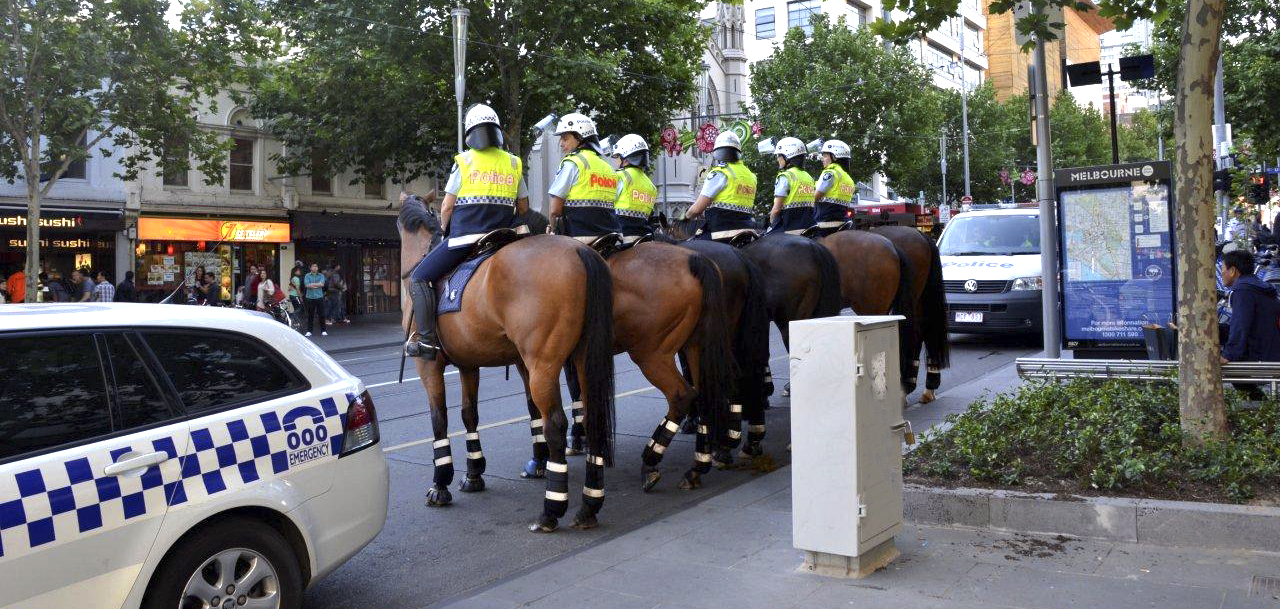 Police Horses