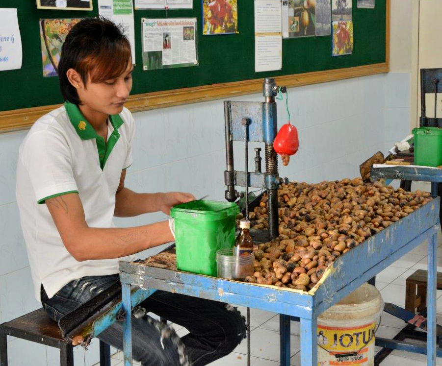 Shelling Cashews