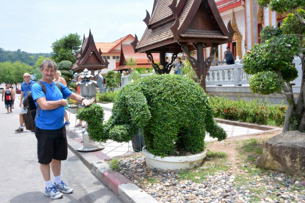 Elephant Topiary