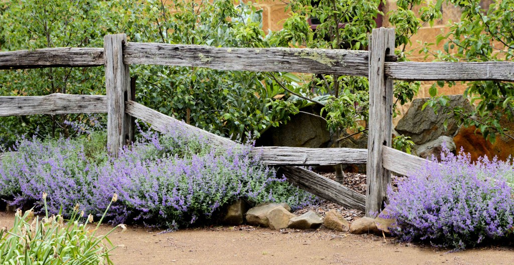 Callington Mill, Oatlands Tasmania