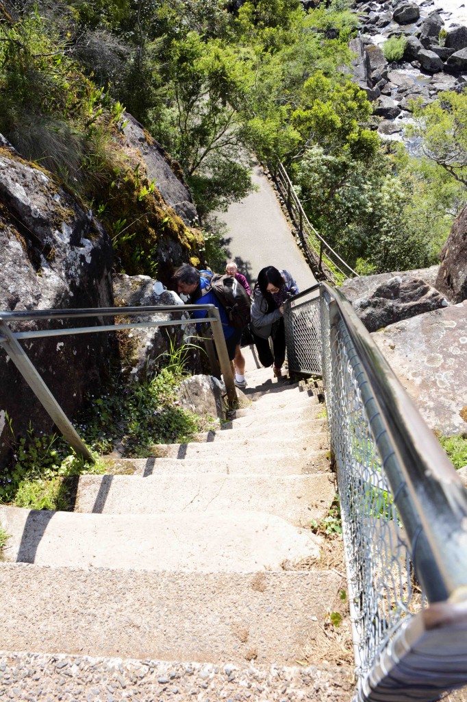Steps to Lookout