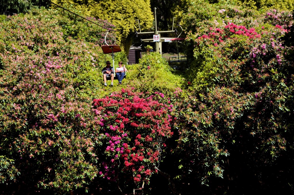 Chairlift, The Basin, Cataract Gorge, Launceston