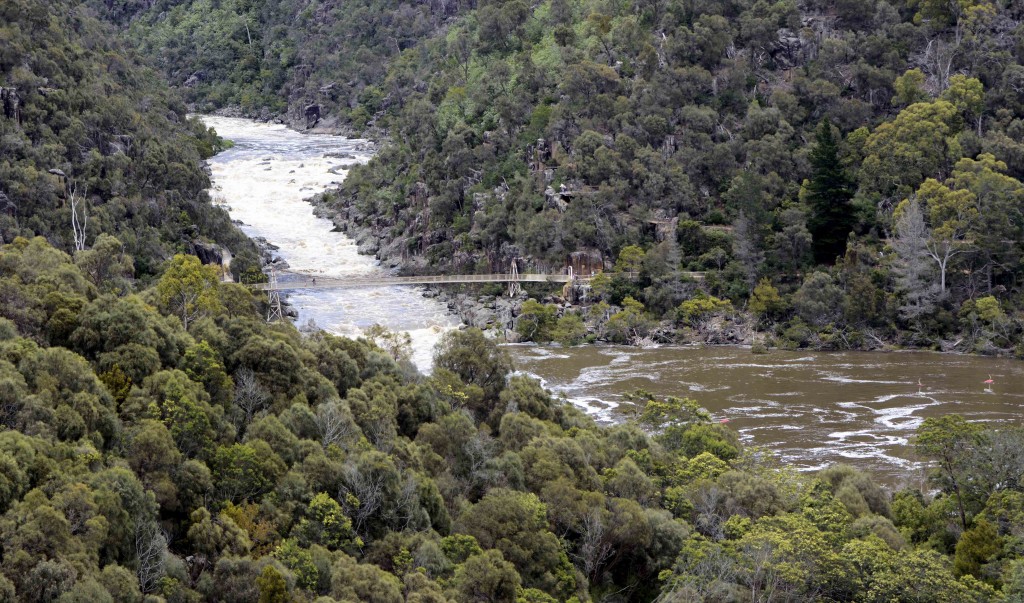 Suspension Bridge From Above Cataract Gorge