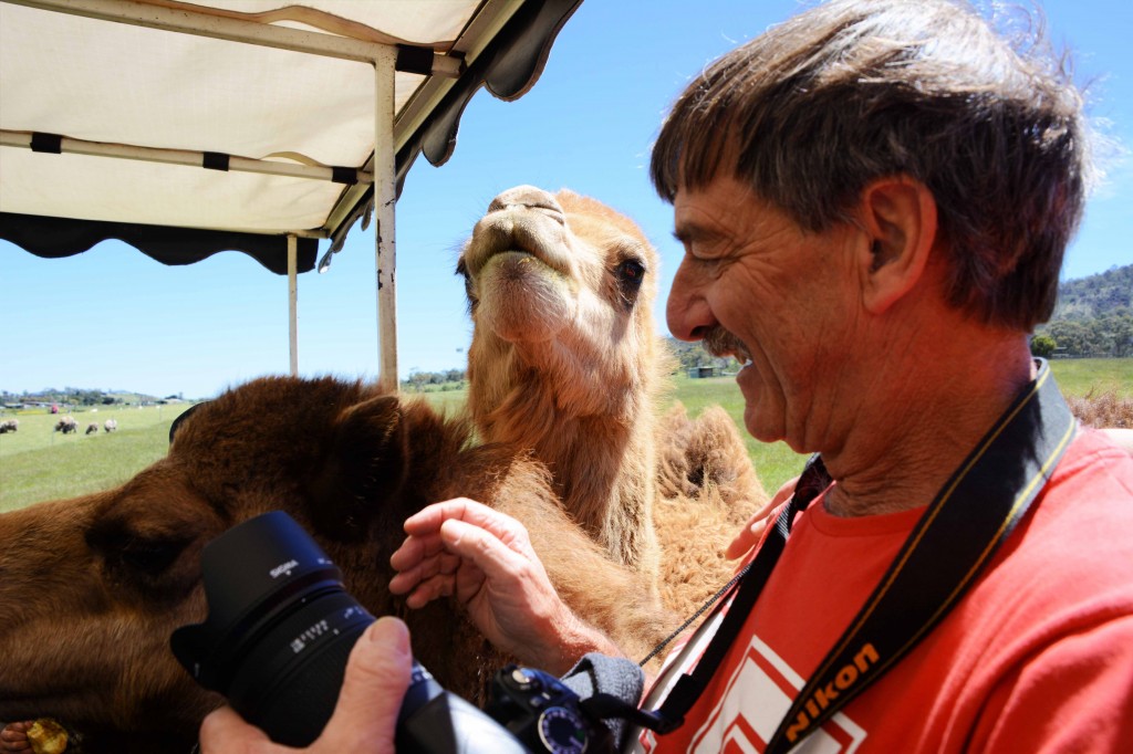 David & Camel at ZooDoo Tasmania