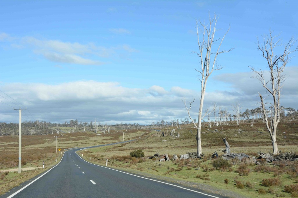 Middlesex Creek, Tasmania