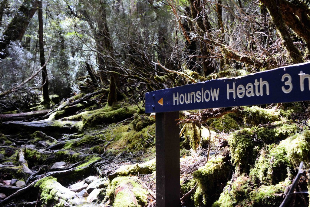 Rough 3 Hour Hike, Cradle Mountain, Tasmania