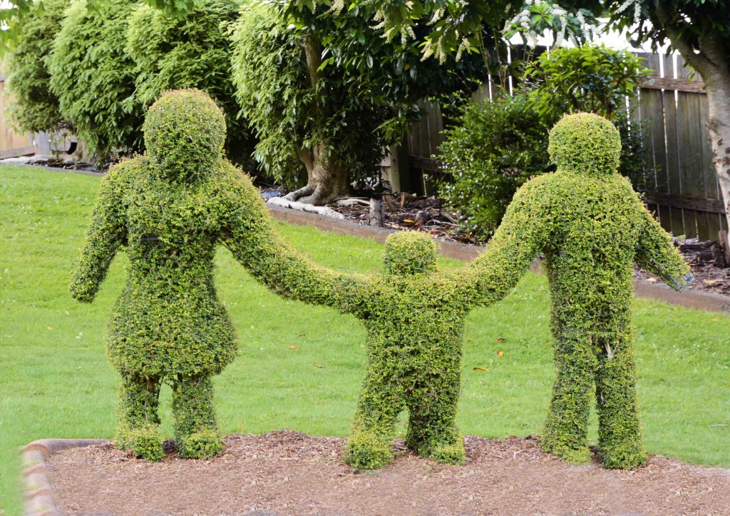 Questionable Topiary in Railton School Grounds, Tasmania