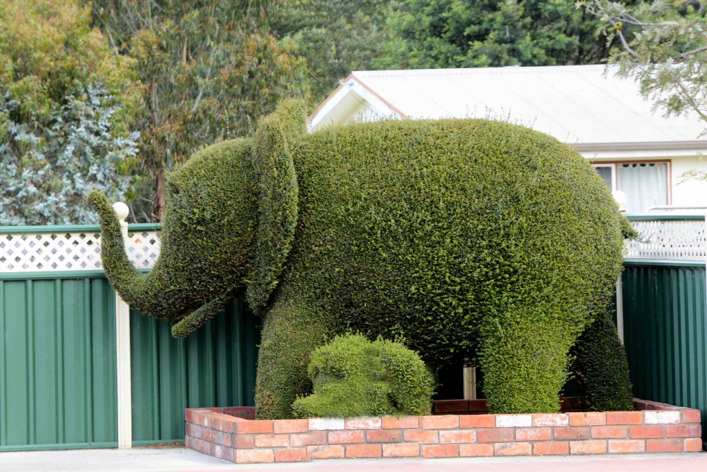 Elephant & Baby Topiary in Railton, Tasmania