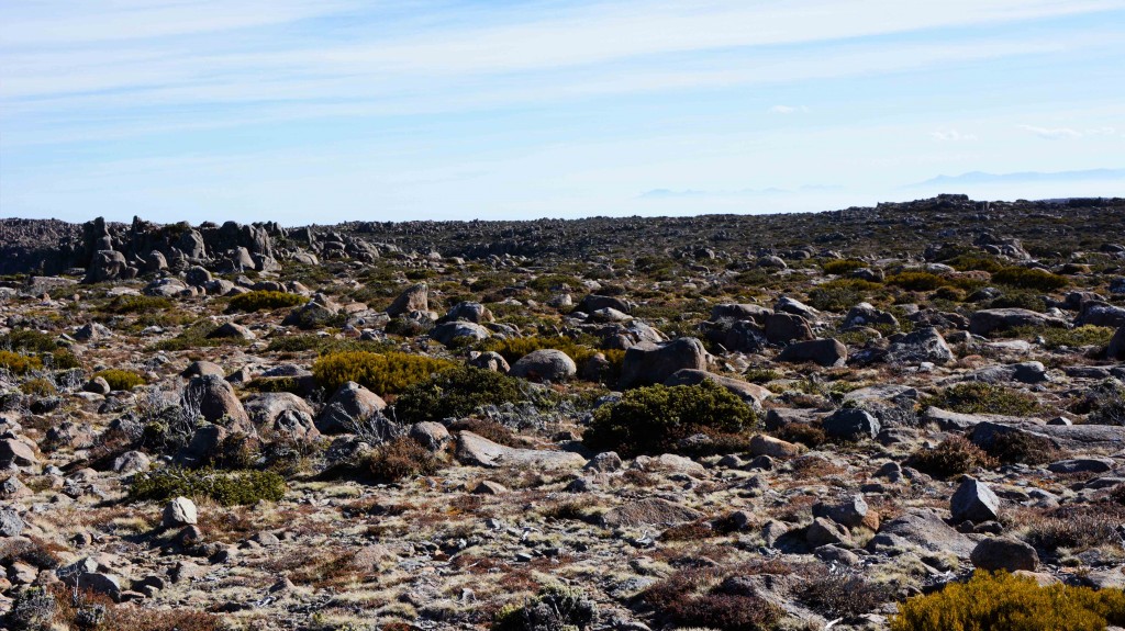 Flat Top of Mt Wellington Hobart Tasmania