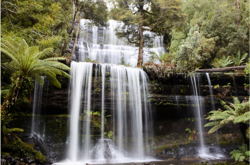 Russell Falls, Mt Field National Park, Tasmania