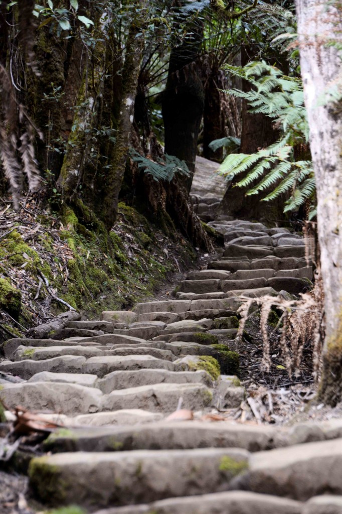 104 Stone Steps - Just the Start