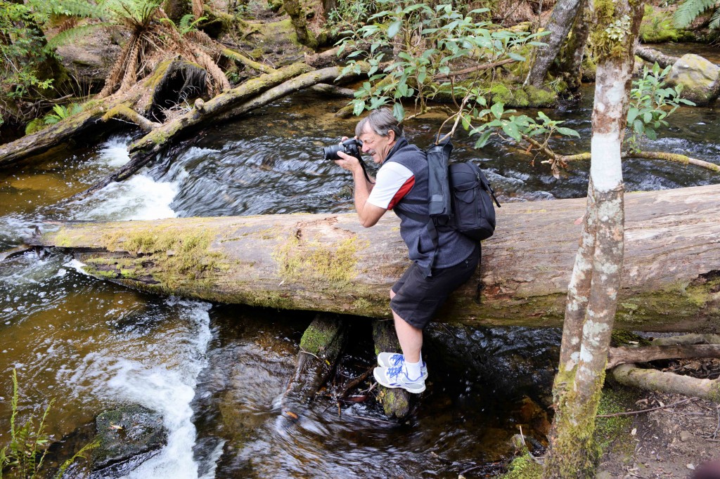 Looking Over the Top of Russell Falls