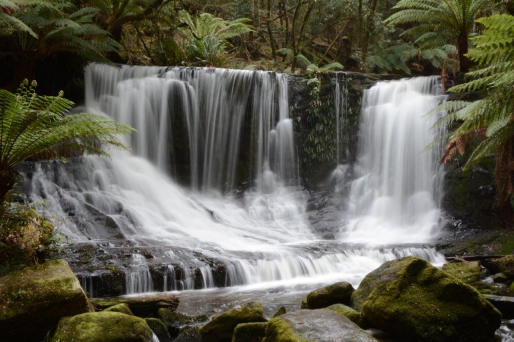 Horseshoe Falls,  Mt Field National Park, Tasmania