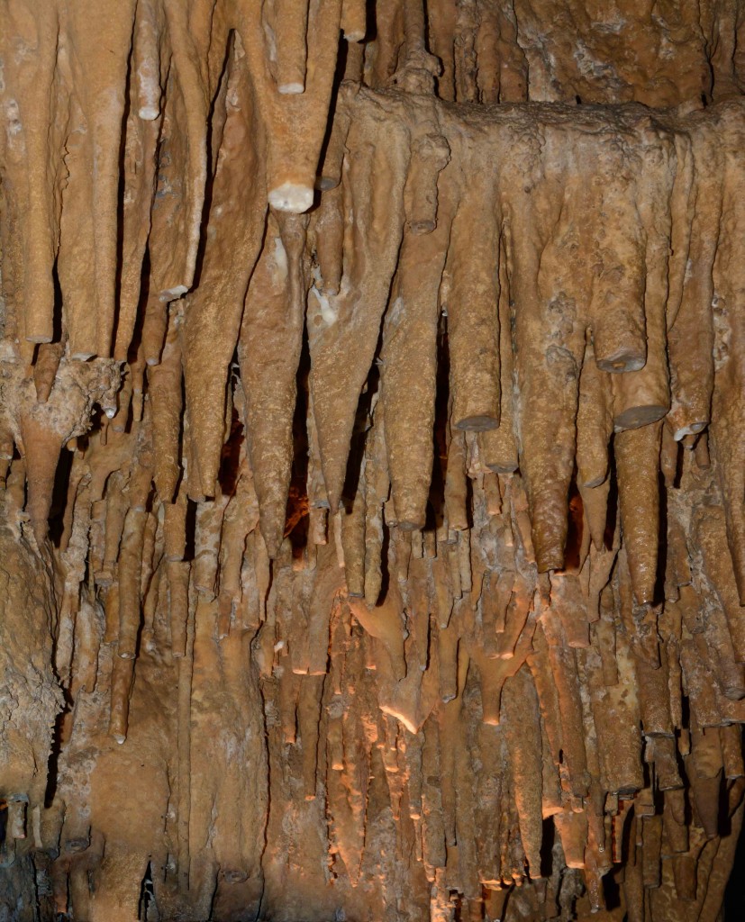 Stalactites, Hastings Caves, Tasmania