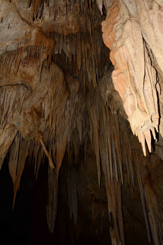 Stalactites, Hastings Caves, Tasmania