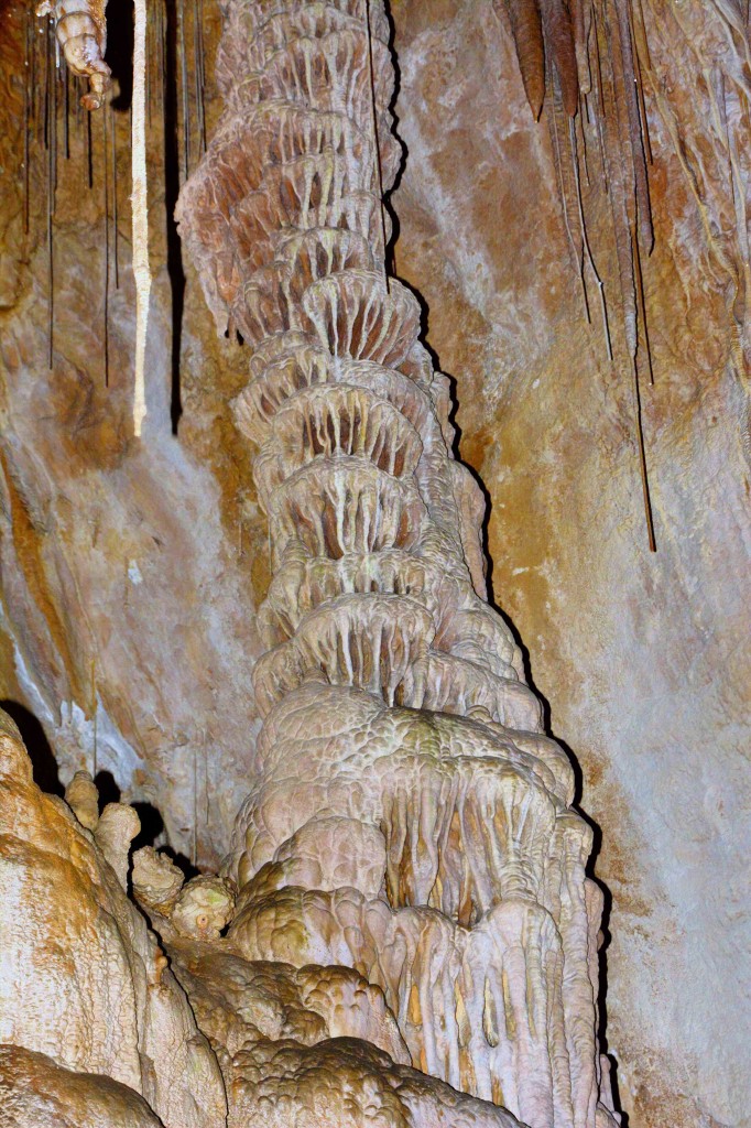 Stalactites, Hastings Caves, Tasmania