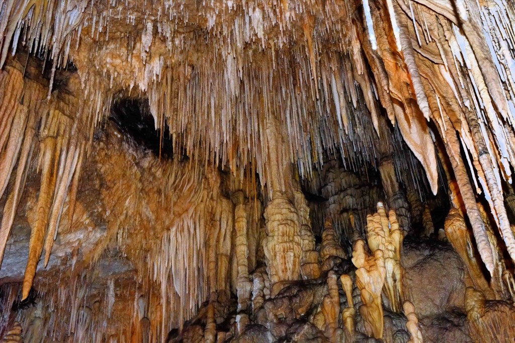 Stalactites, Hastings Caves, Tasmania