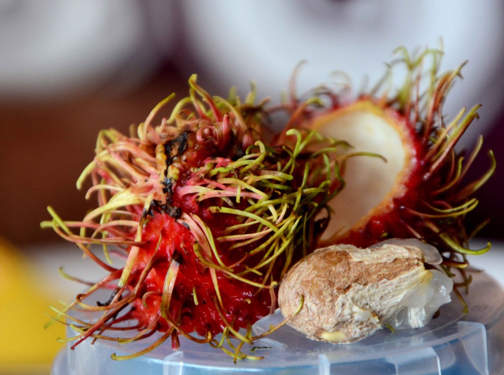 Remains of a Rambutan Fruit