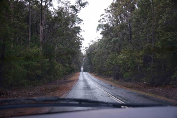 Wet Country Road