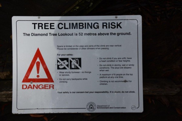 Climbing Tree Warnings