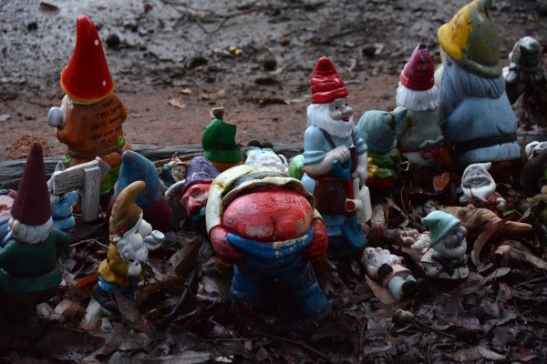 And Rude Gnomes