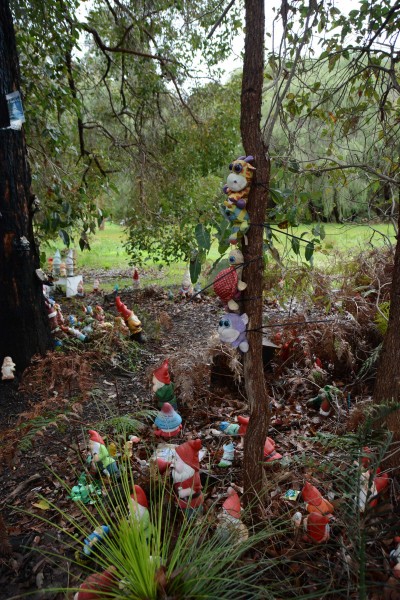 Stuffed Animals up a Tree