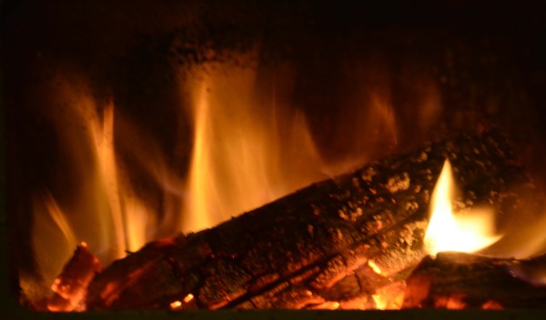 Warm Log Fire