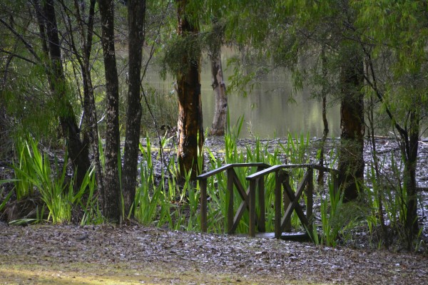 Karri Valley Hideaway Cottages Footbridge