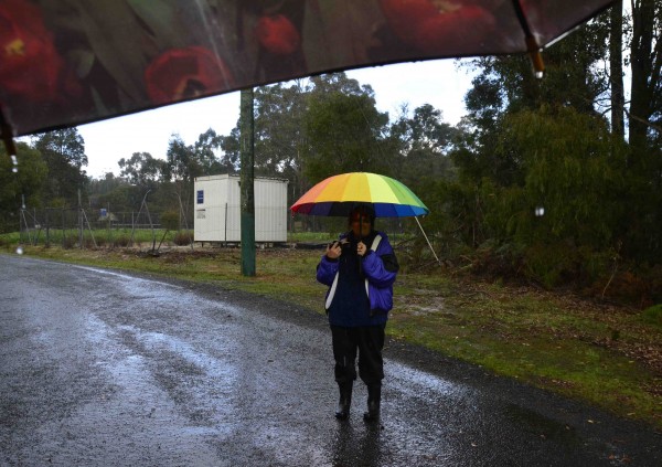 David's Photo of May in the Rain