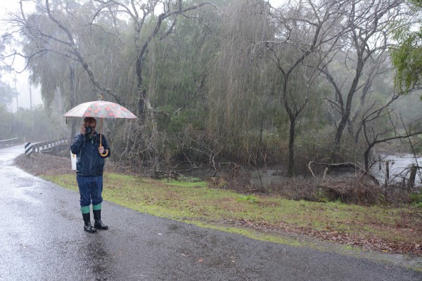 May's (much better) Photo of David in the Rain LOL