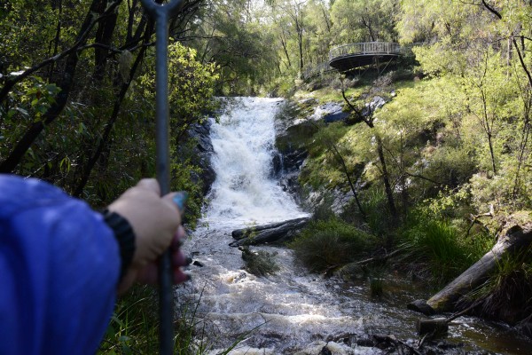 Holding On - Beedelup Falls Suspension Bridge