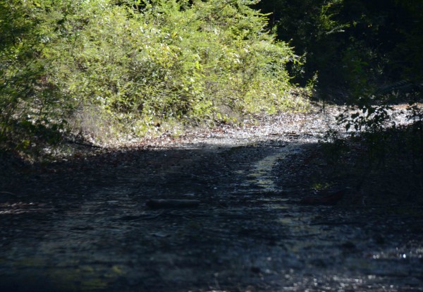 Sodden Road/Waterfall