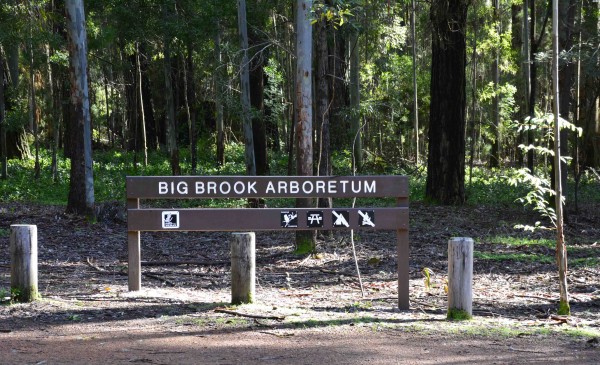 Big Brook Arboretum