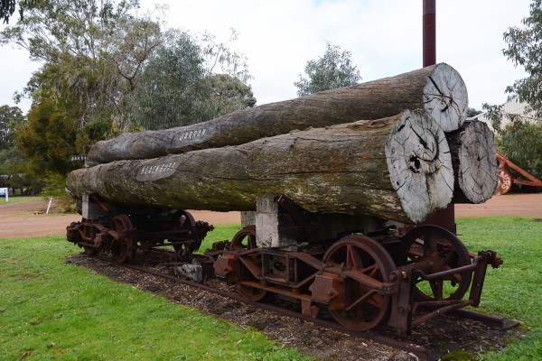 Jarrah, Blackbutt & Red Gum