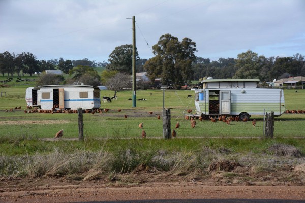 Holiday Caravans?