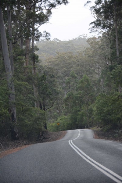 One of Channybearup Road's Many Hills