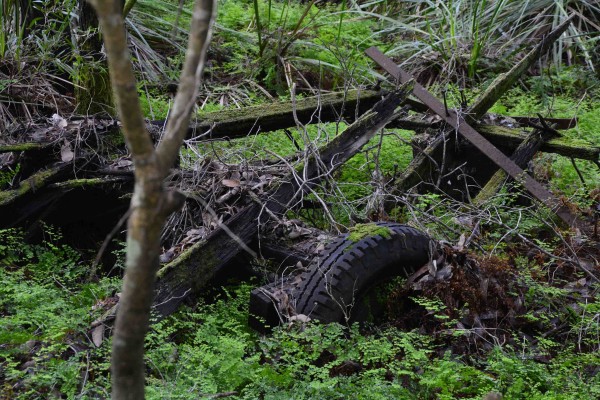 Dead Trailer Nearly Buried