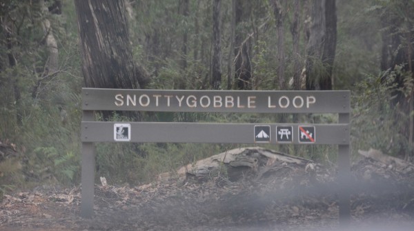 Snottygobble Loop