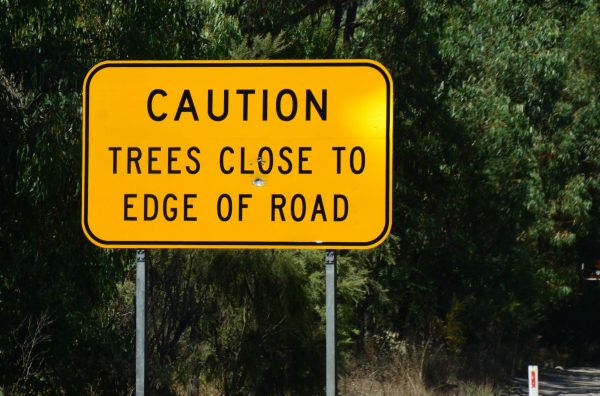 Dangerous Trees at Yanchep