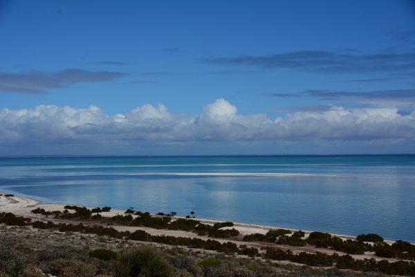 Beautiful Bay off Shark Bay Road