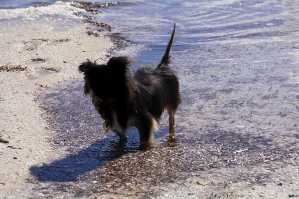 Marley Paddling