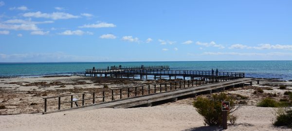 Hamelin Bay Boardwalk