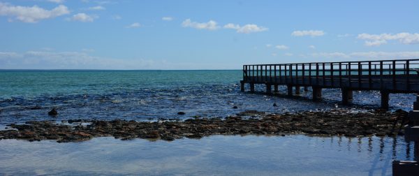 Hamelin Pool Stromatolites