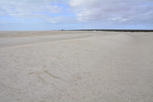 David's Photo of Shell Beach