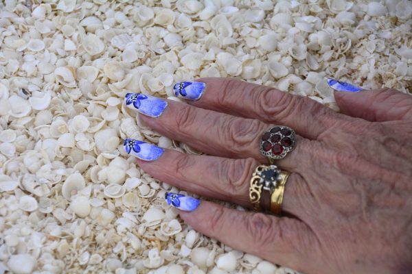 Tiny White Shells at Shell Beach